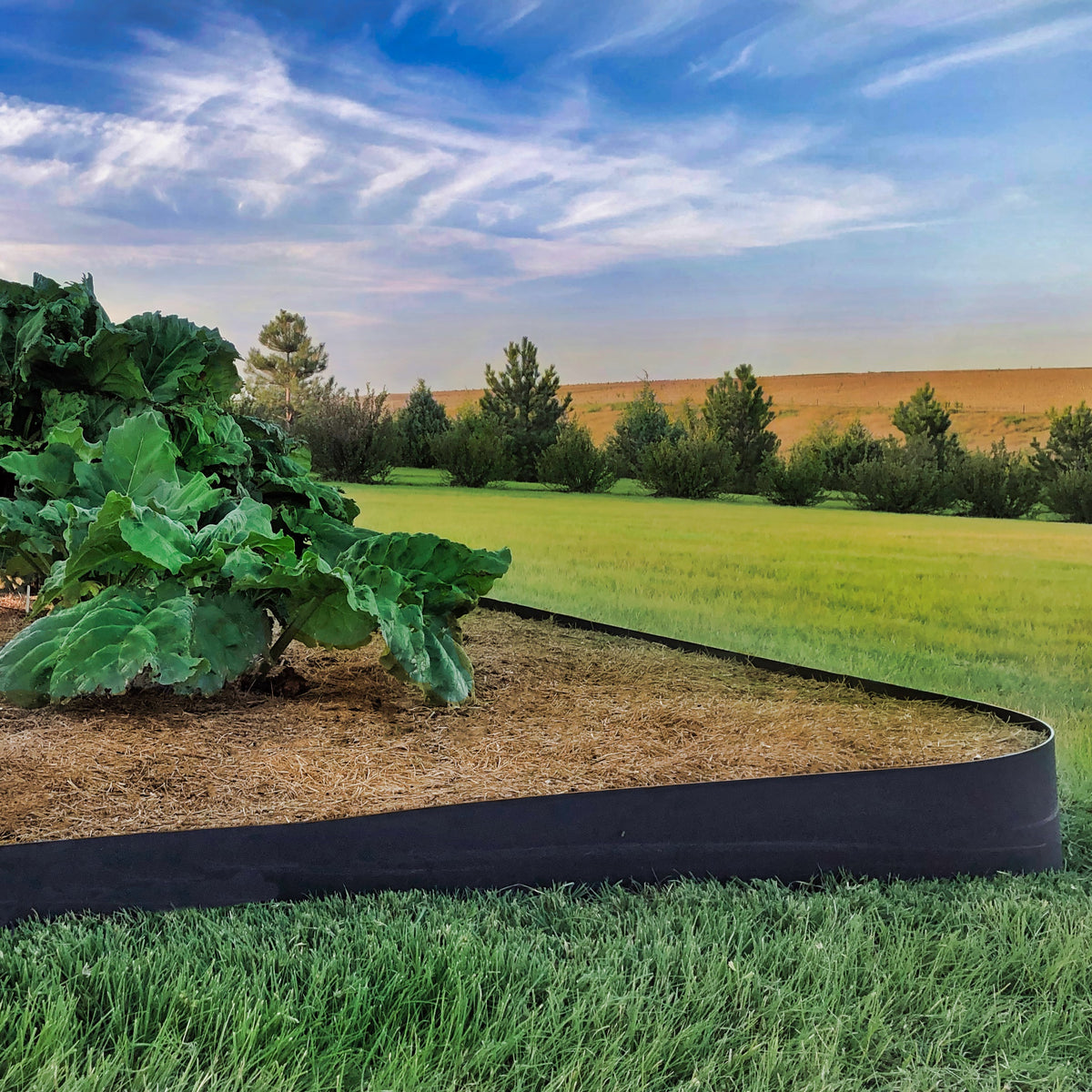 10-inch black HDPE barrier installed around a curved planting bed