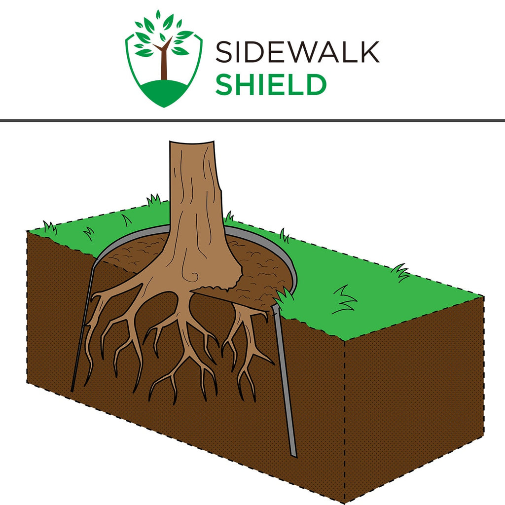 Diagram of Sidewalk Shield set in a ring around a tree